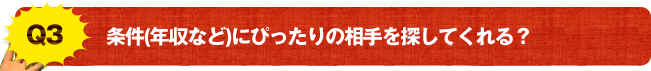 Q3 条件(年収など)にぴったりの相手を探してくれる？