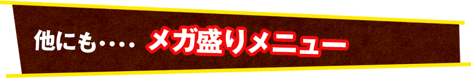 他にも････ メガ盛りメニュー