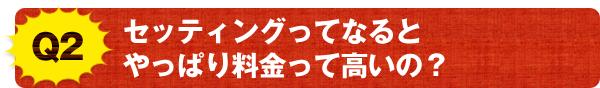 Q2 セッティングってなるとやっぱり料金って高いの？