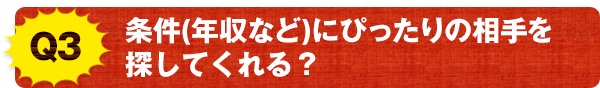 Q3 条件(年収など)にぴったりの相手を探してくれる？