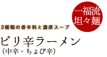 3種類の香辛料と濃厚スープ一福流　坦々麺ピリ辛ラーメン(中辛・ちょび辛)