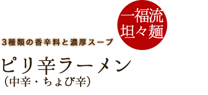 3種類の香辛料と濃厚スープ一福流　坦々麺ピリ辛ラーメン (中辛・ちょび辛)